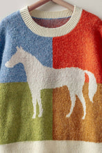 Load image into Gallery viewer, Colorblock Equestrian Sweater
